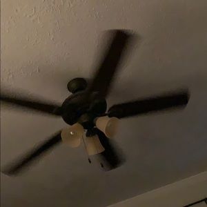 Meet your Posher, Ashlee